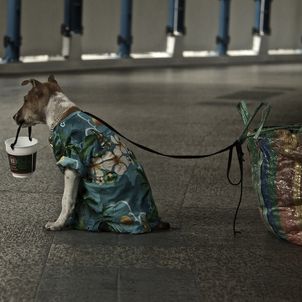 Bettler